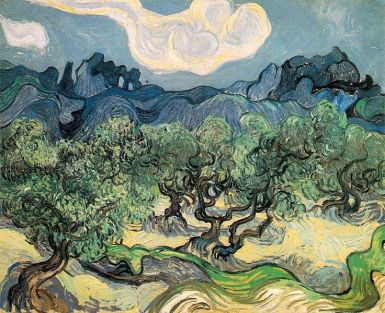 736px-Vincent_van_Gogh_(1853-1890)_-_The_Olive_Trees_(1889)